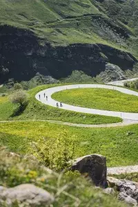 Cyclistes prennent un virage serré sur une route de montagne entourée de prairies.