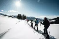 Groupe en randonnée raquettes dans la neige aux Arcs