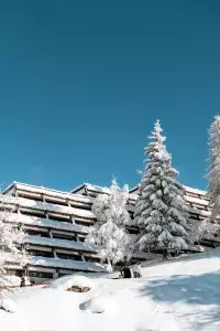 Résidence enneigée aux Arcs entourée de sapins couverts de neige sous un ciel bleu hivernal.