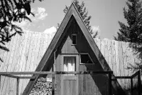 Chalet en forme de A avec façade en bois dans un environnement forestier.