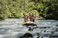 Groupe en rafting sur une rivière vive entourée de forêt.
