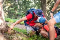 Guide et enfant observant la nature lors d’une randonnée en forêt.