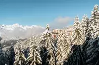 Station de montagne entourée de sapins enneigés avec vue sur les sommets