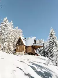 Chalet en bois entouré d’arbres enneigés dans un paysage hivernal aux Arcs