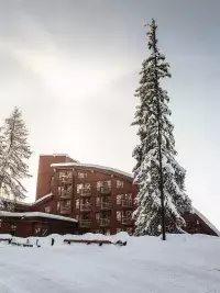 Bâtiment de station de ski entouré de sapins enneigés et route dégagée aux Arcs en hiver