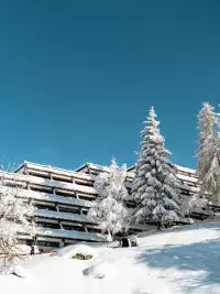 Résidence enneigée aux Arcs entourée de sapins couverts de neige sous un ciel bleu hivernal.