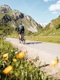 Cycliste parcourant une route de montagne au Cormet de Roselend en été.