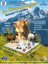 Affiche officielle de la Démontagnée 2026 à Bourg Saint Maurice, avec troupeaux, produits locaux et animations.
