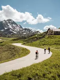 Groupe de cyclistes gravissant une route sinueuse entourée de prairies et de sommets enneigés