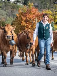Éleveurs accompagnant leurs vaches tarines lors du défilé de la Démontagnée à Bourg Saint Maurice.