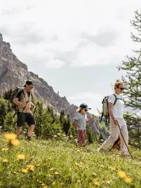 Famille en randonnée à travers une prairie fleurie avec vue sur les sommets alpins