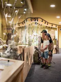 Famille observant des animaux naturalisés dans une exposition pédagogique sur la faune de montagne