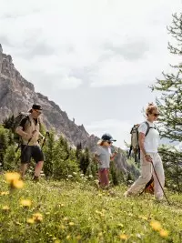 Randonnée en famille dans les paysages alpins des Arcs, au cœur d’un alpage fleuri.