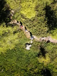 Randonnée en pleine nature sur un sentier forestier aux Arcs.