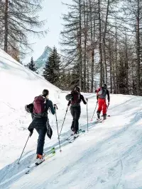 Groupe de skieurs en randonnée montant une pente enneigée en forêt avec vue sur un sommet alpin aux Arcs