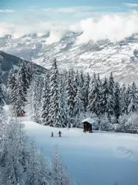 Skieurs sur une piste enneigée au cœur des forêts de Peisey-Vallandry, avec les montagnes en arrière-plan.