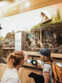 Deux enfants et un adulte observent attentivement un diorama détaillé montrant des marmottes naturalisées dans leur terrier reconstitué, au Muséum des Animaux de Montagne
