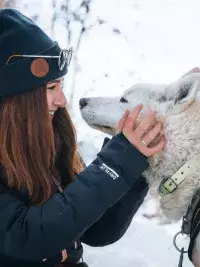 Attelage de chiens de traîneau traversant une forêt enneigée en montagne