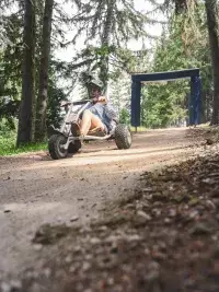 mountain-kart-les-arcs-forest-downhill.webp