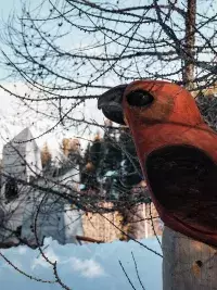 Détail d'une sculpture d'oiseau en bois teinté rouge, élément décoratif de l'aire de jeux les Géants de Malgovert avec les montagnes enneigées en arrière-plan