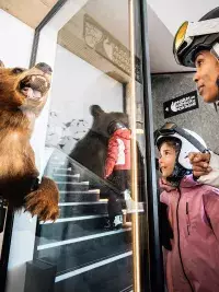 Une femme et un enfant en tenue de ski et casques regardent avec surprise un ours brun naturalisé en position agressive derrière une vitrine au Muséum des Animaux de Montagne