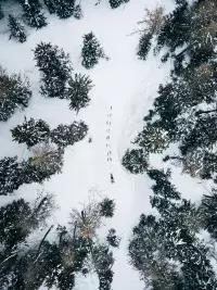 Femme caressant un chien husky dans un environnement enneigé en montagne